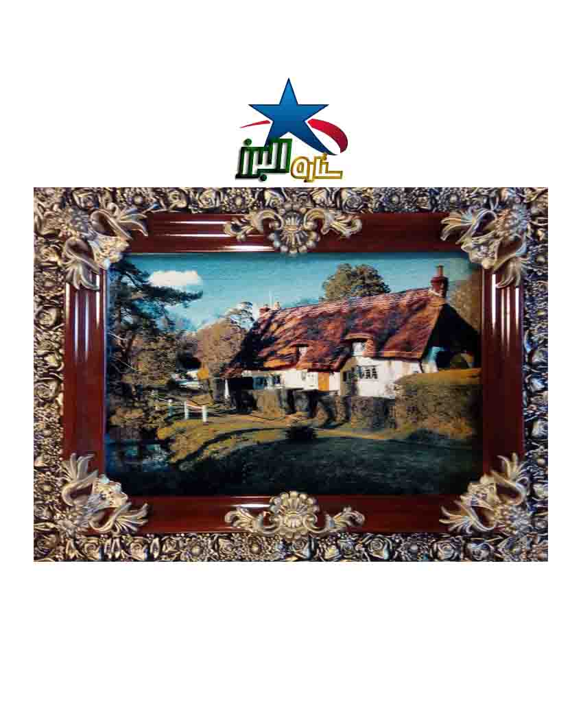 السجاد 50/70 مع الإطارات GOLBARAN 9