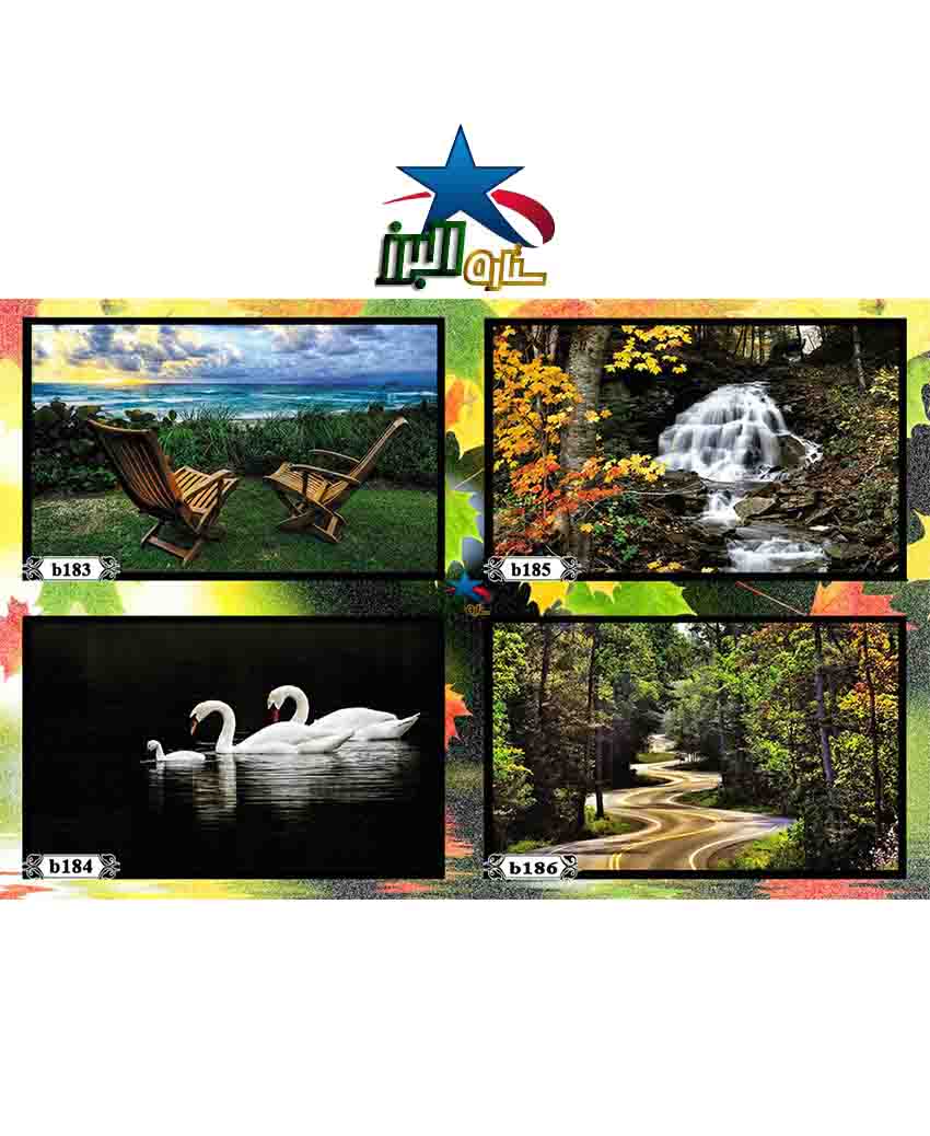 طباعة الألبوم 34